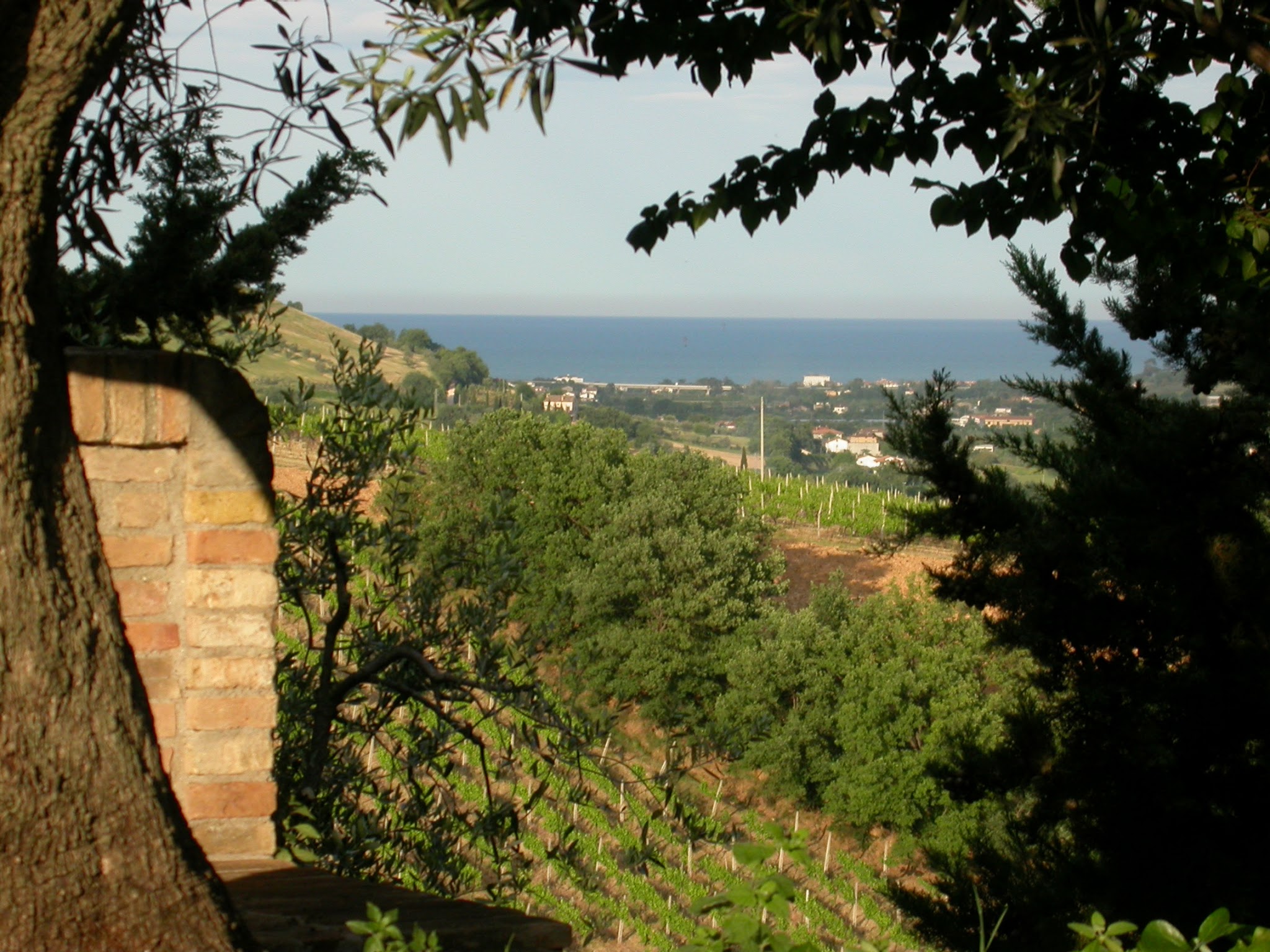 il mare da La Campana