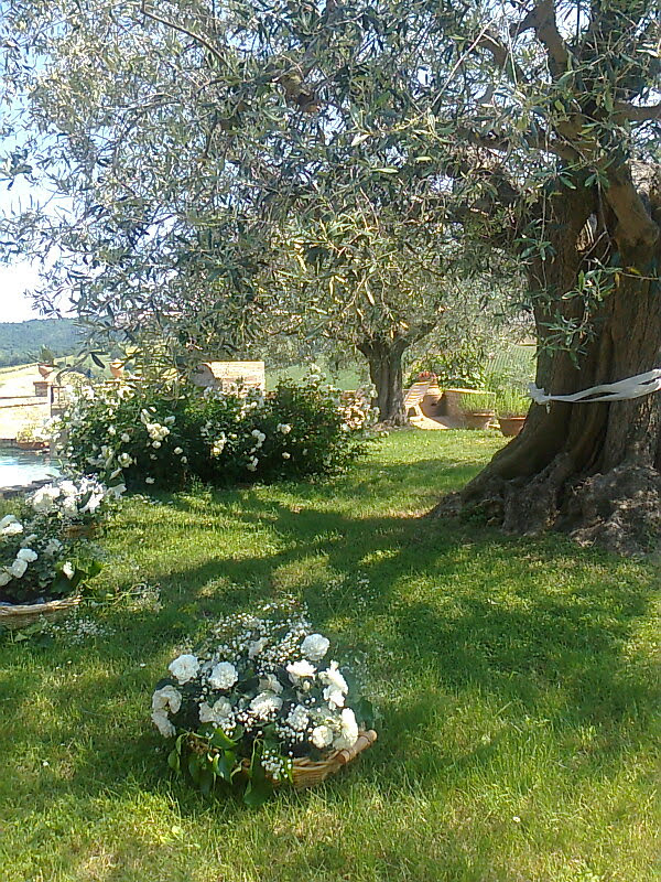 IIa pranzo (01)
